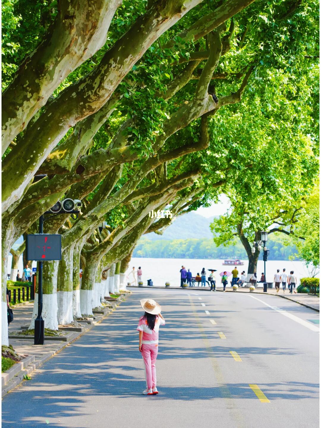 西湖这段路走一万次有一万次的惊喜😄