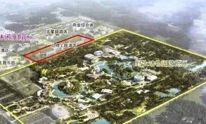 每年300万人打卡！北京野生动物园，居然要搞大动作？

北京野生动物园这个老牌4