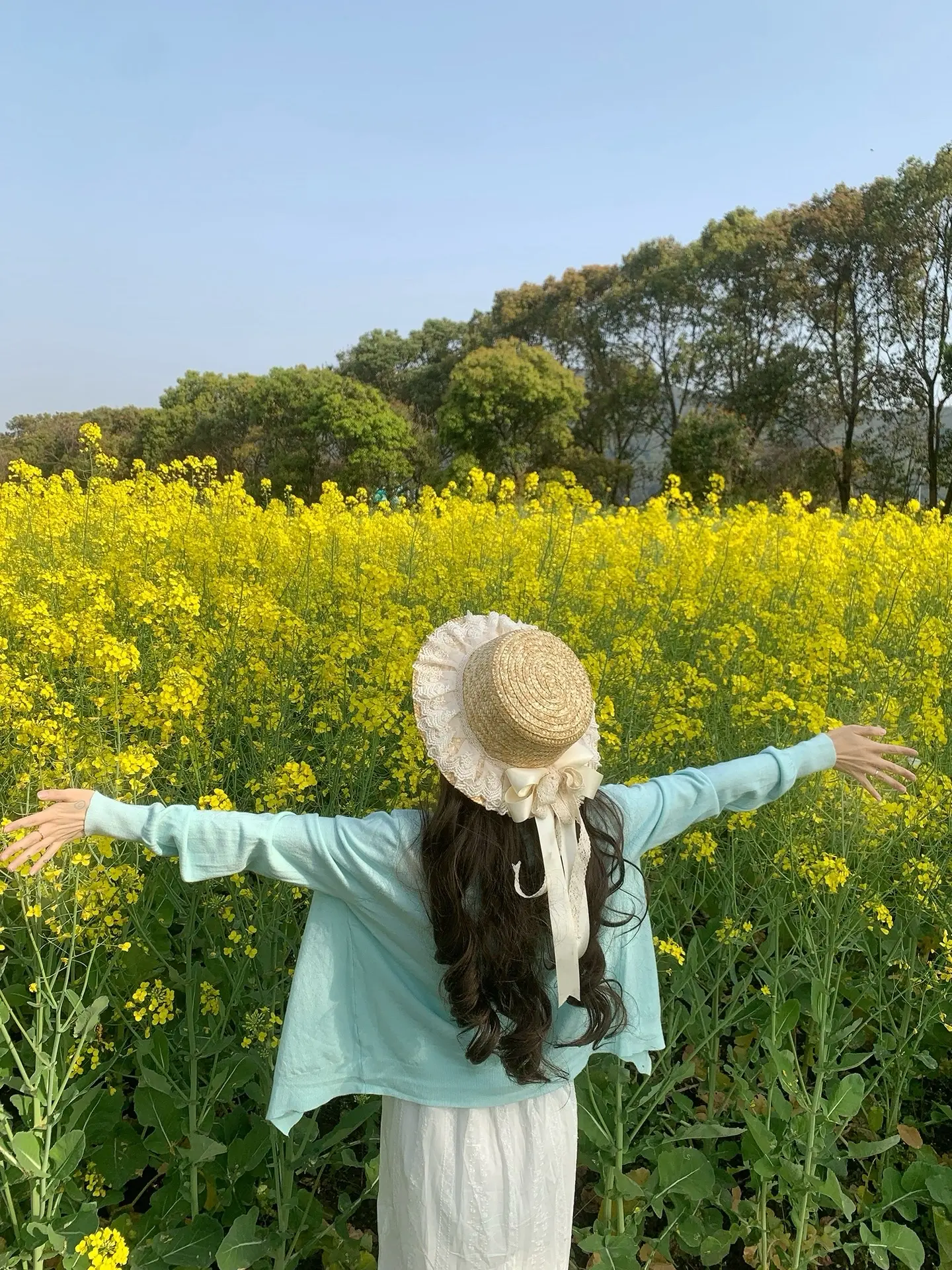 油菜花🌼。