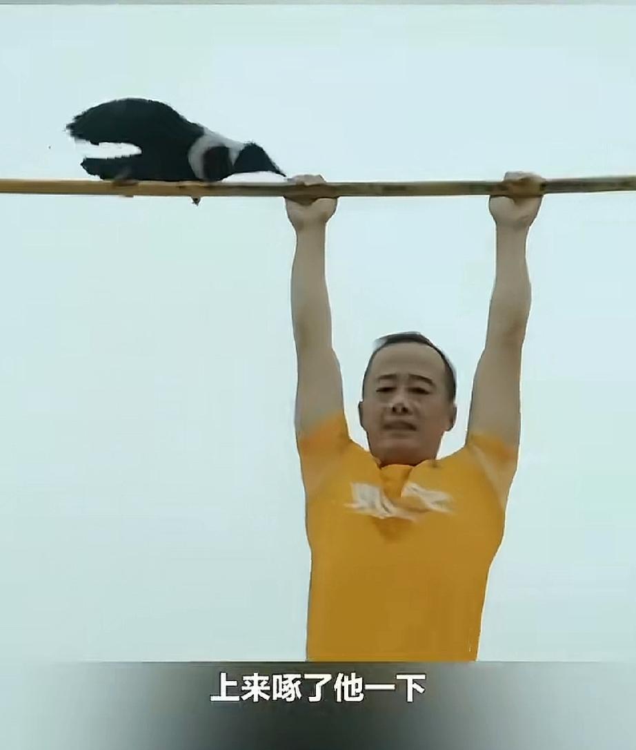 乌鸦是个聪明的鸟儿，知道把石子放到瓶子里，抬高水位，从而顺利的喝到水。若瓶子被盖