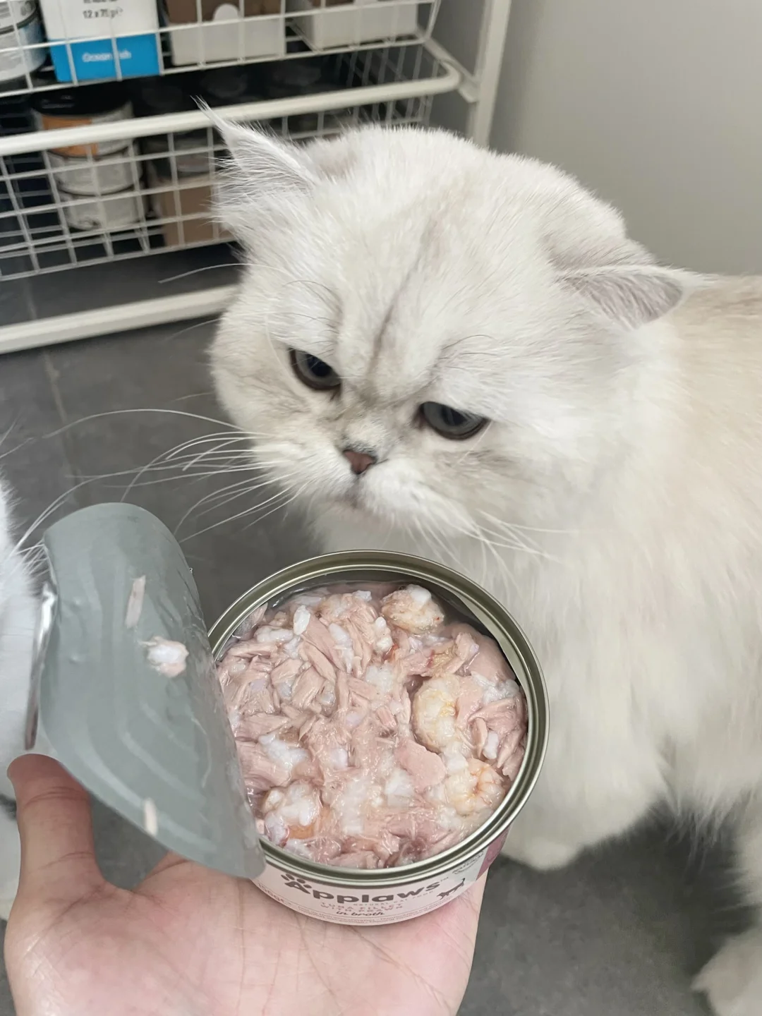 糯糯：对着罐罐许个愿🙏🏻