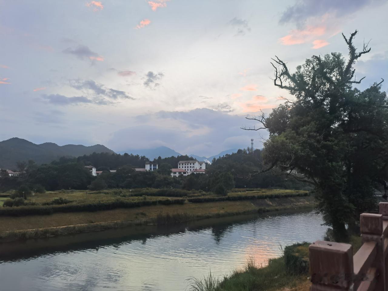 这个世界，没有人会为了你而活着。
也没有人因为你而活不下去。
所以，活着的人，一
