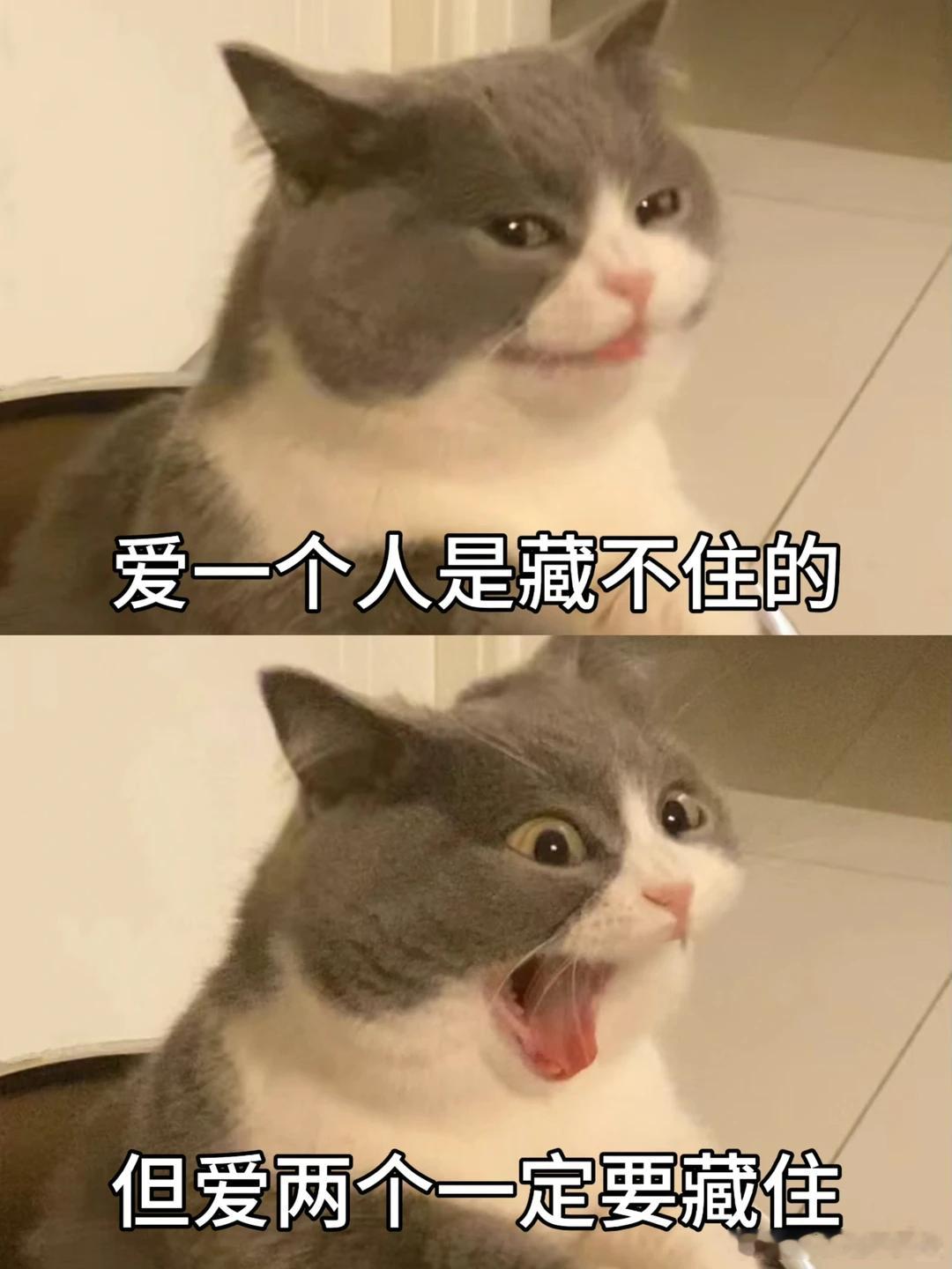 目前几位低风阻SUV选手~智界R7：0.217理想i8：0.218特斯拉Mode