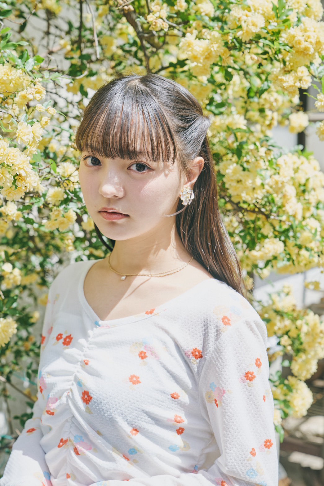 角心菜（