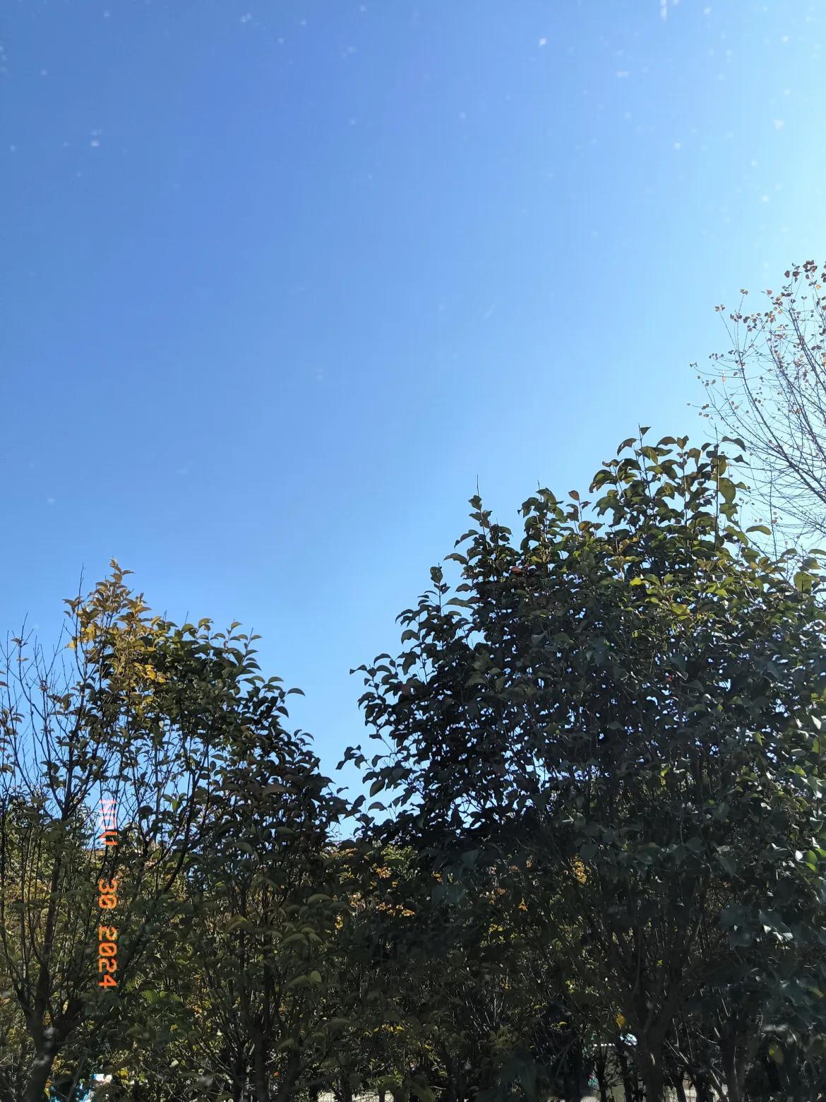 今天星期六，11月30号阳光洒满大地，几天没出门了都呆傻瓜了。
风和日丽暖和如春
