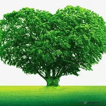 当一个人不再联系你,你该怎么办?步入中年的我，不在乎任何人的评论。他们怎么样与我