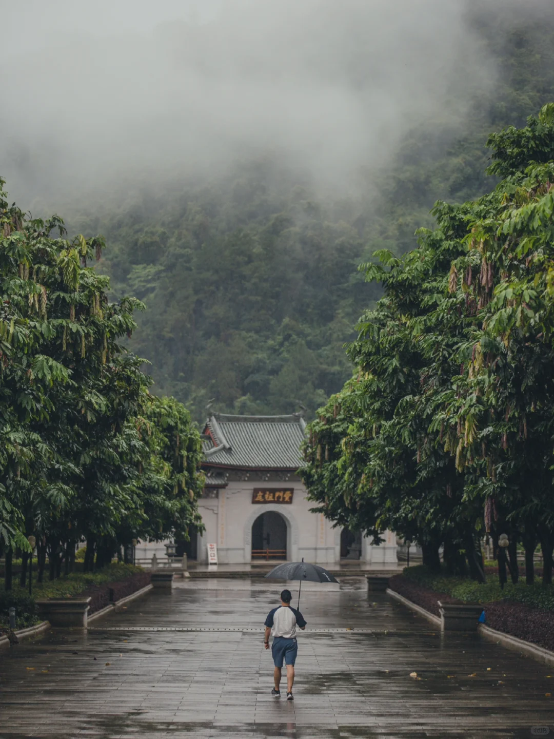 韶关云门寺 | 一山烟雨半山云