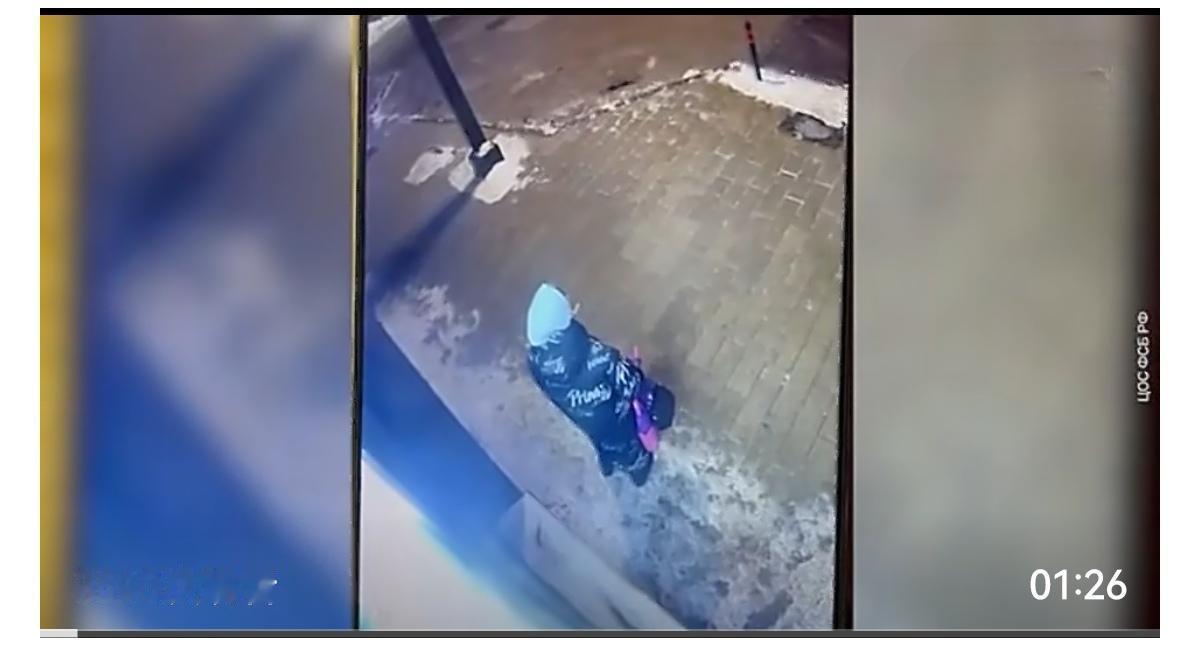 俄罗斯联邦安全局（FSB）宣布逮捕了涉嫌参与谋杀弗拉基米尔·阿列克谢耶夫中将未遂