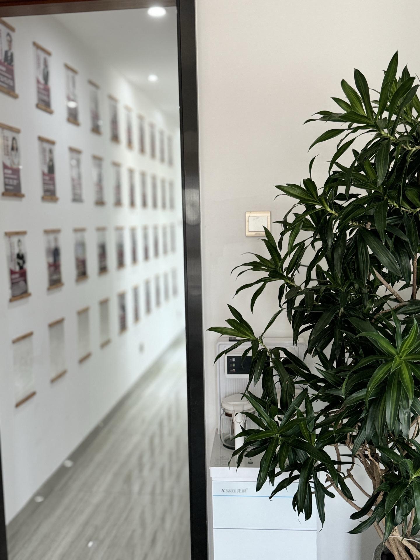 婚姻咨询室的一角。  今天广州大暴雨空气比平时的清爽一些，安静下来静静...
