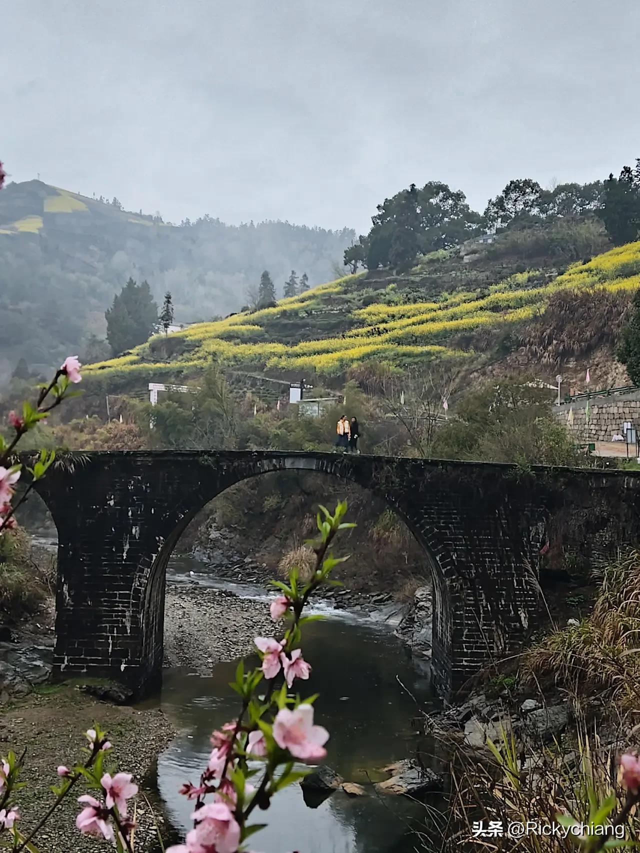 三月底四月初，山里的桃花开了！