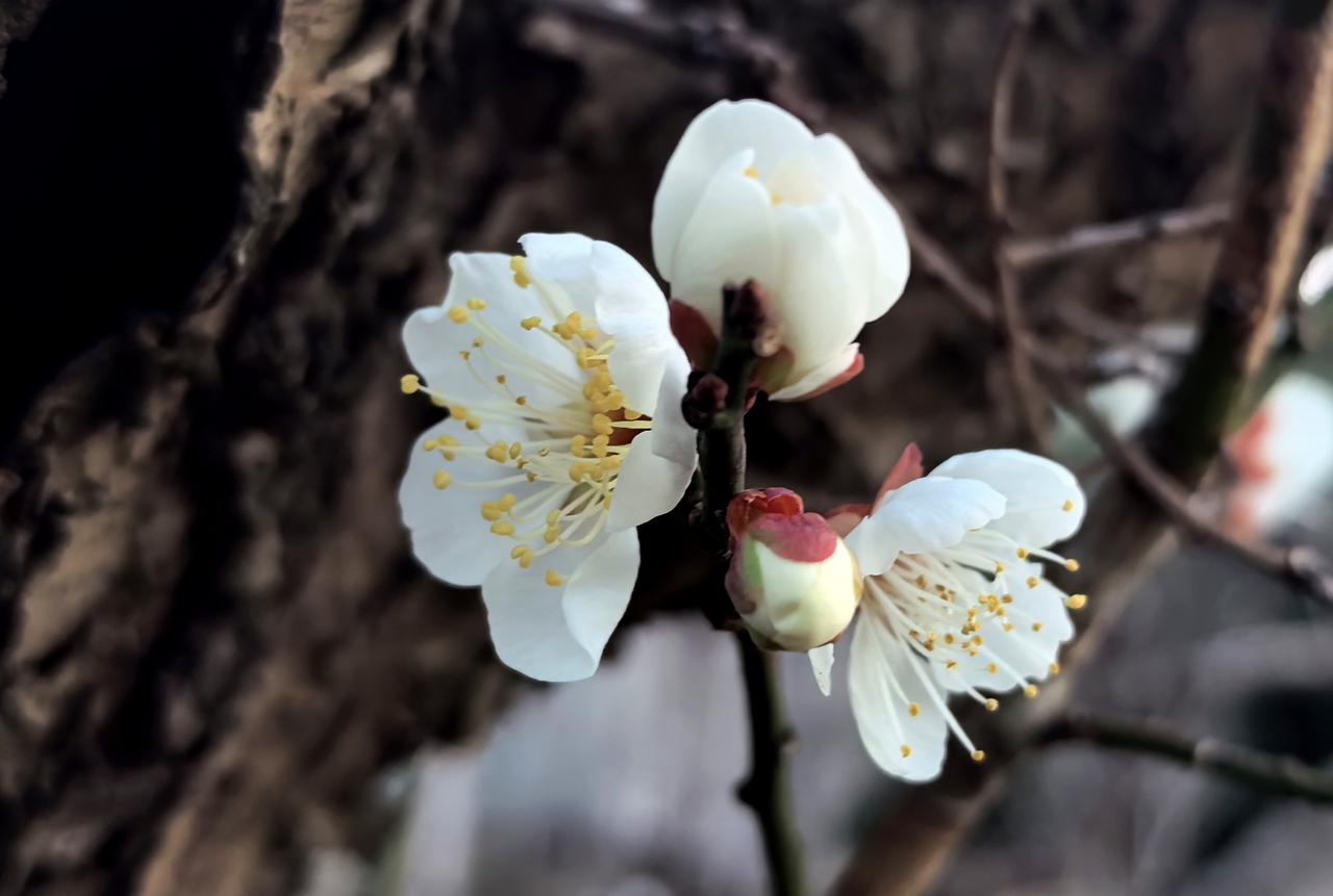 【热评】别让烈士的孩子遭受委屈
孩子抱着去世6年烈士爸爸墓碑大哭

刷到孩子抱着