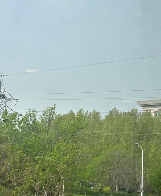 昨晚我们三在回家的路上，前夫打电话给大闺女，问她这两天放假怎么安排？

大闺女说