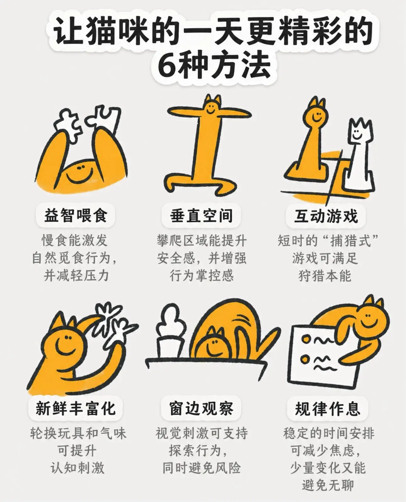 猫咪不是单纯“无聊”，而是感官刺激不足。猫咪不是单纯“无聊”，而是感官...