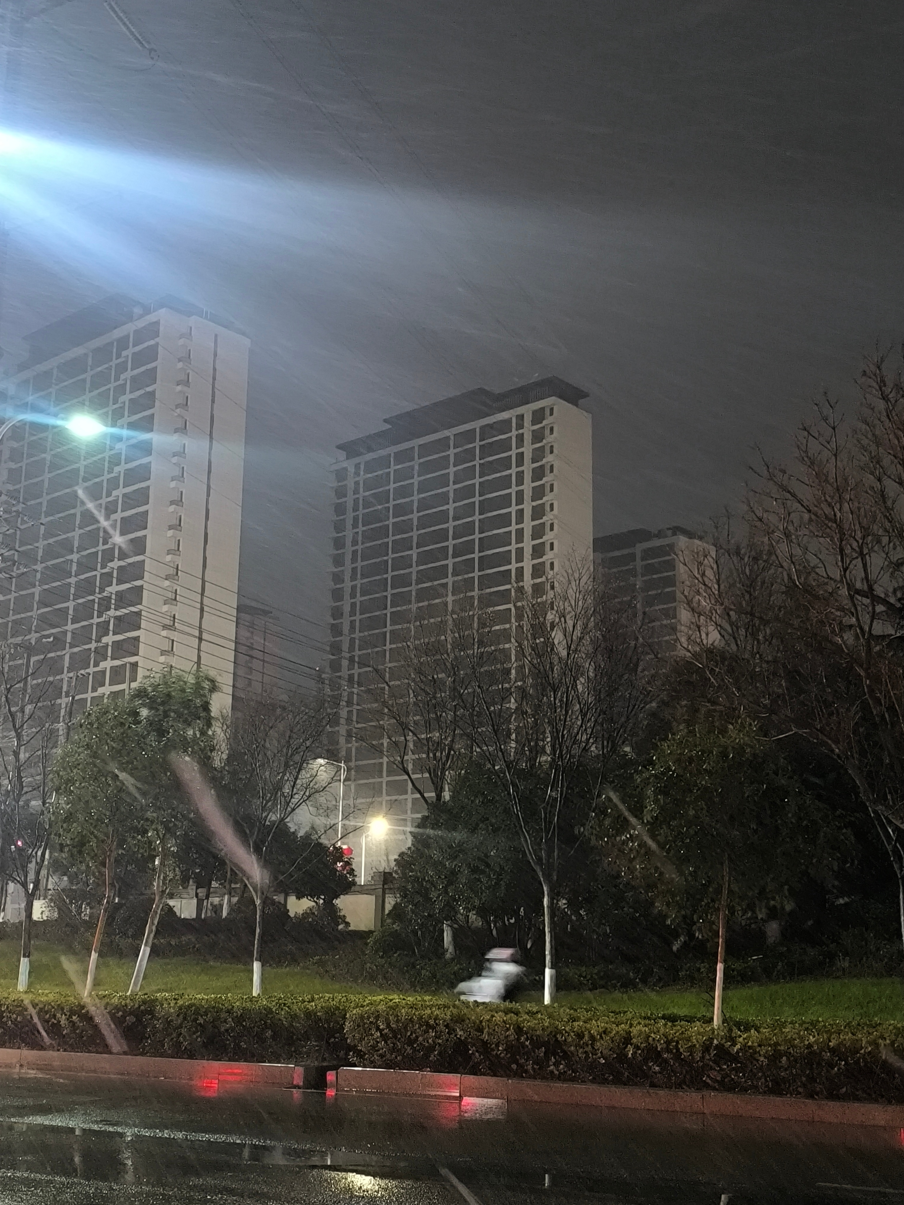 张万森下雪了❄️ 