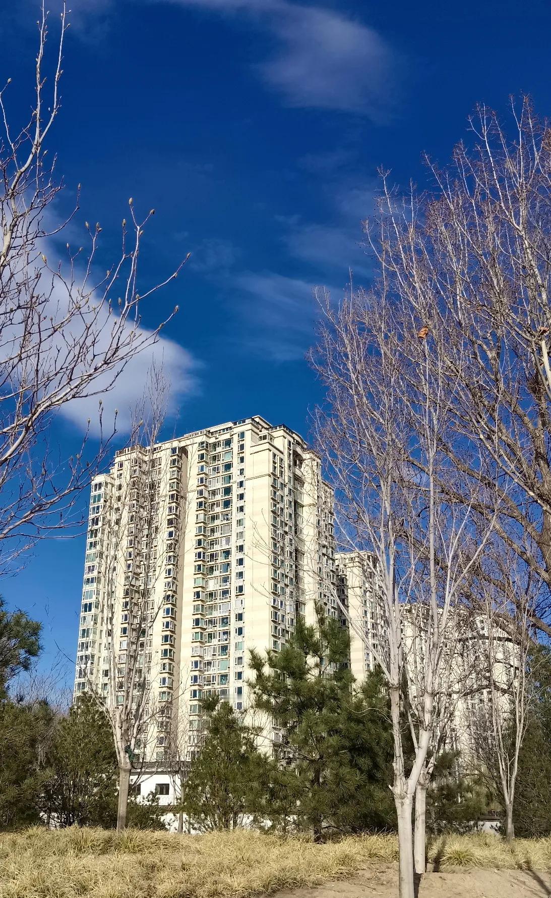 经过了大风大雪，今天的北京阳光灿烂，天空碧蓝，温度迅速攀升至23度。