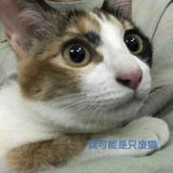 朱辉热聚生活服务