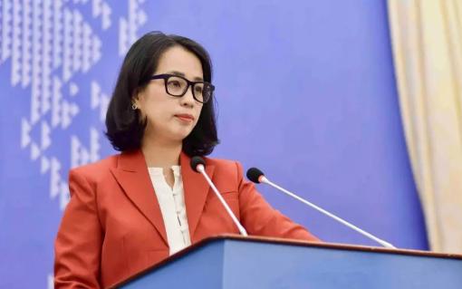 越南高层现在估计心里直发慌。
 
他怎么也想不到，7月12号美菲等14国刚把南海