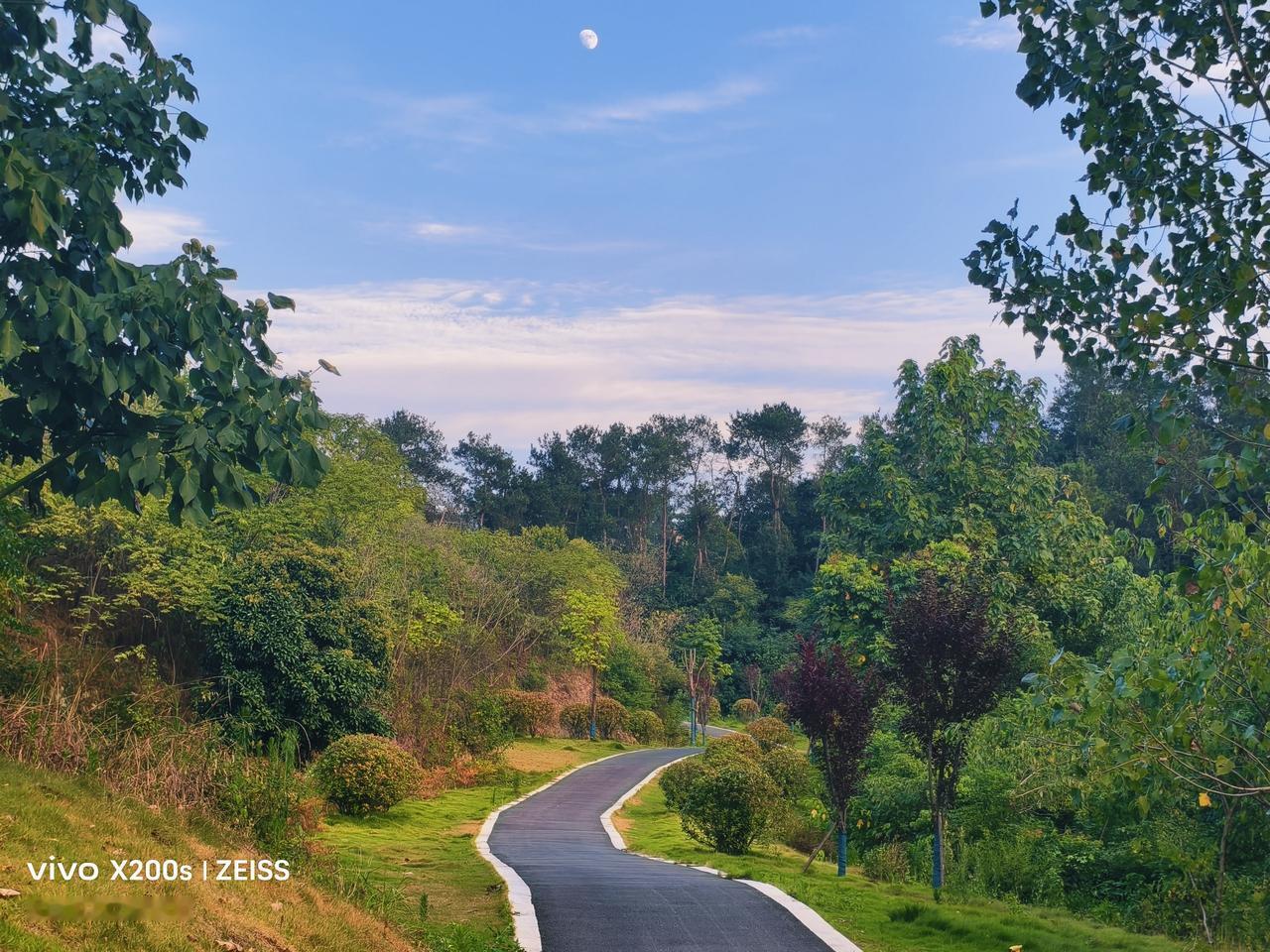 晒一晒路边的风景照山中间弯弯的黑色小道。