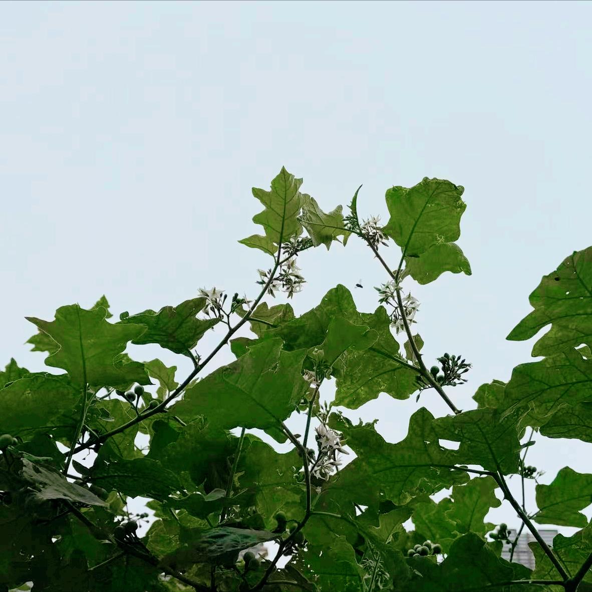 内蒙古：执纪审查1人
 
4月1日晚，自治区执纪审查1人，为通辽市的政府系统原官