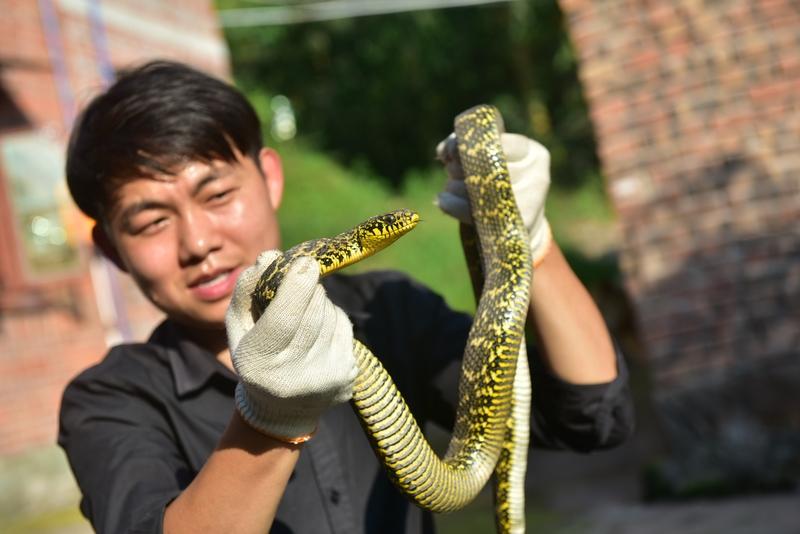 每日笑话
一天，小蛇慌张地问大蛇哥哥：“哥哥，我们有毒吗？”大蛇问：“你问这干啥