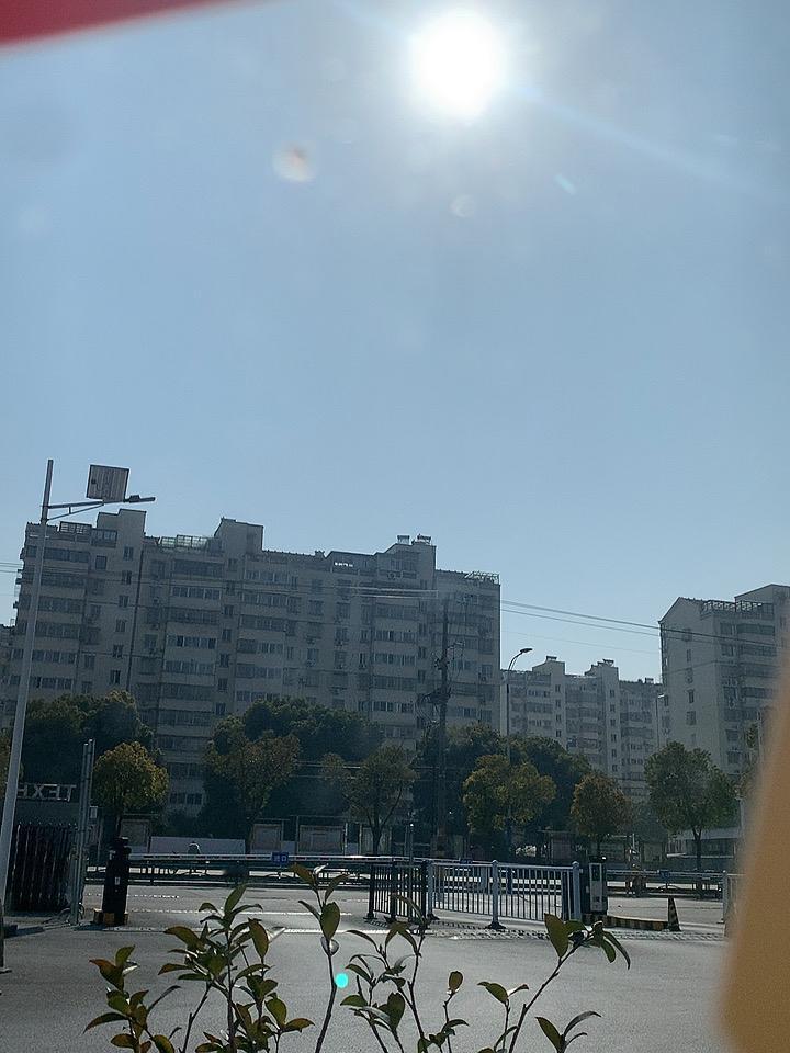 今天太阳好大，晒了好暖和呀！
晒太阳真的可以补钙吗[捂脸]
我在网上看到晒太阳可