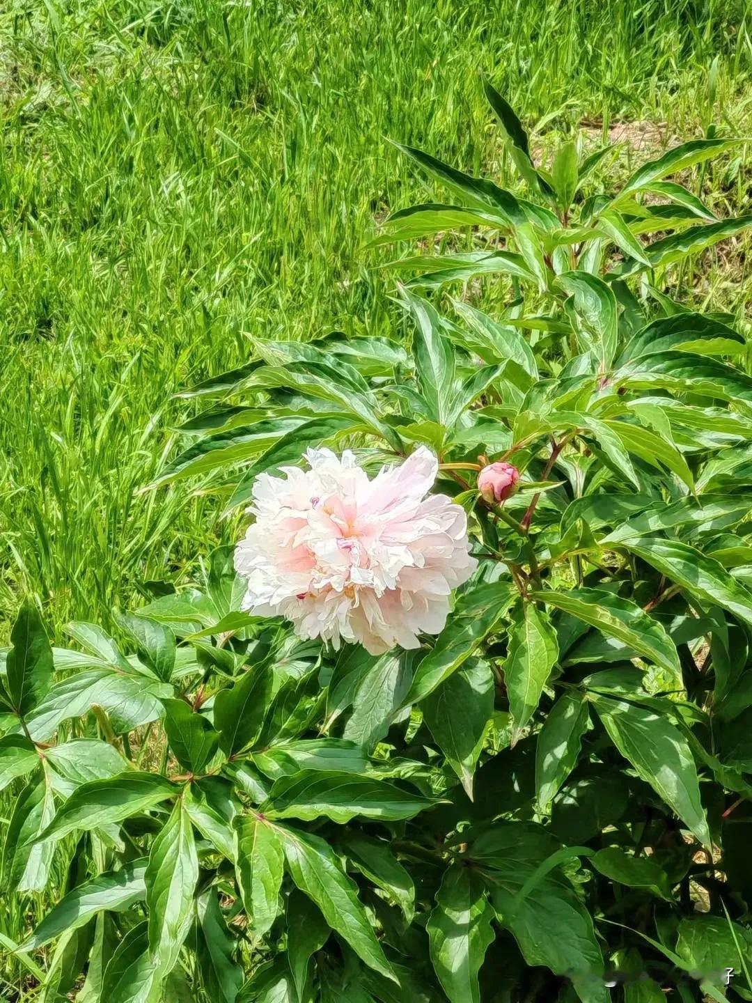 高考后几天能到查成绩？要开心要激动[比心]