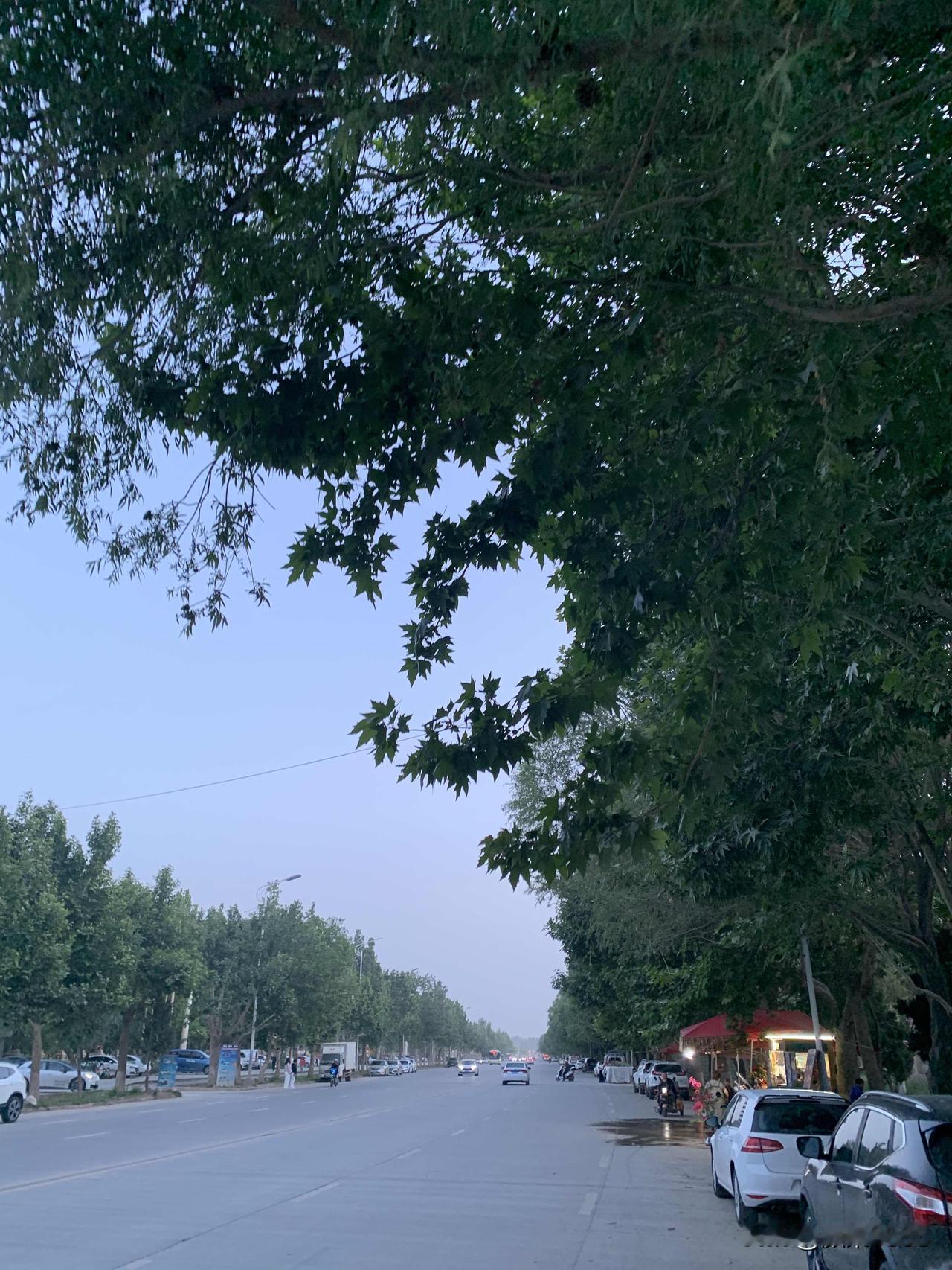 夜跑打卡，今天妥妥的7公里，每天晚上保持优良的锻炼习惯，夜跑，跑出健康，跑出人生