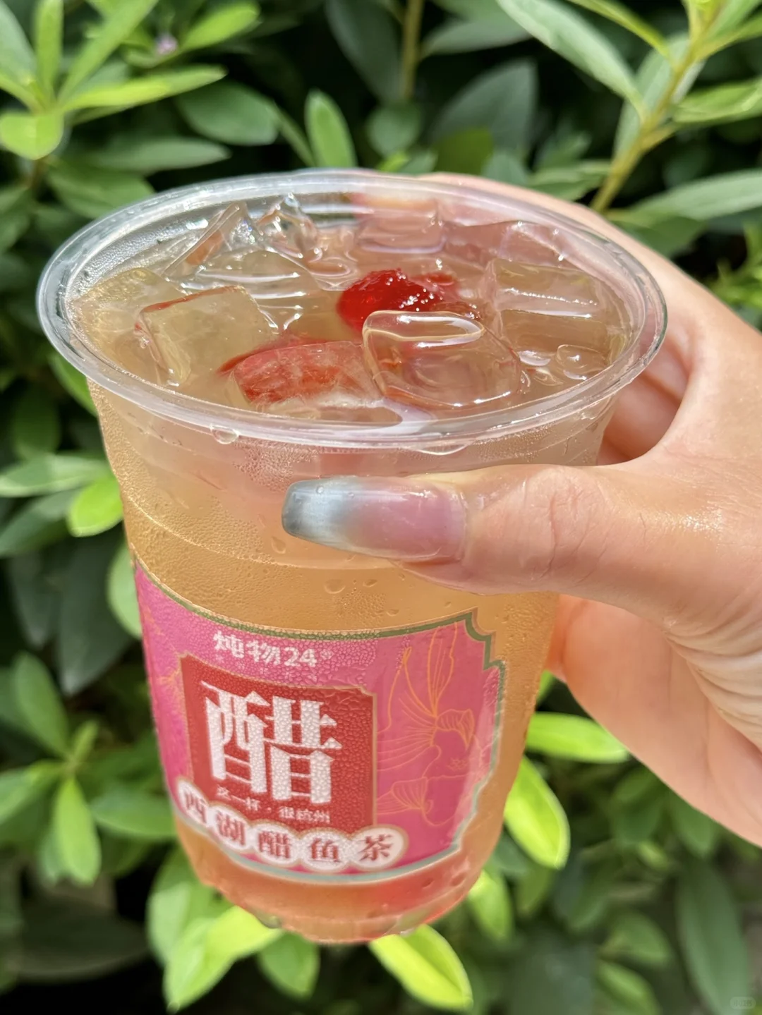 卧卧卧！！杭州西湖边也有了！！西湖醋鱼茶。。。