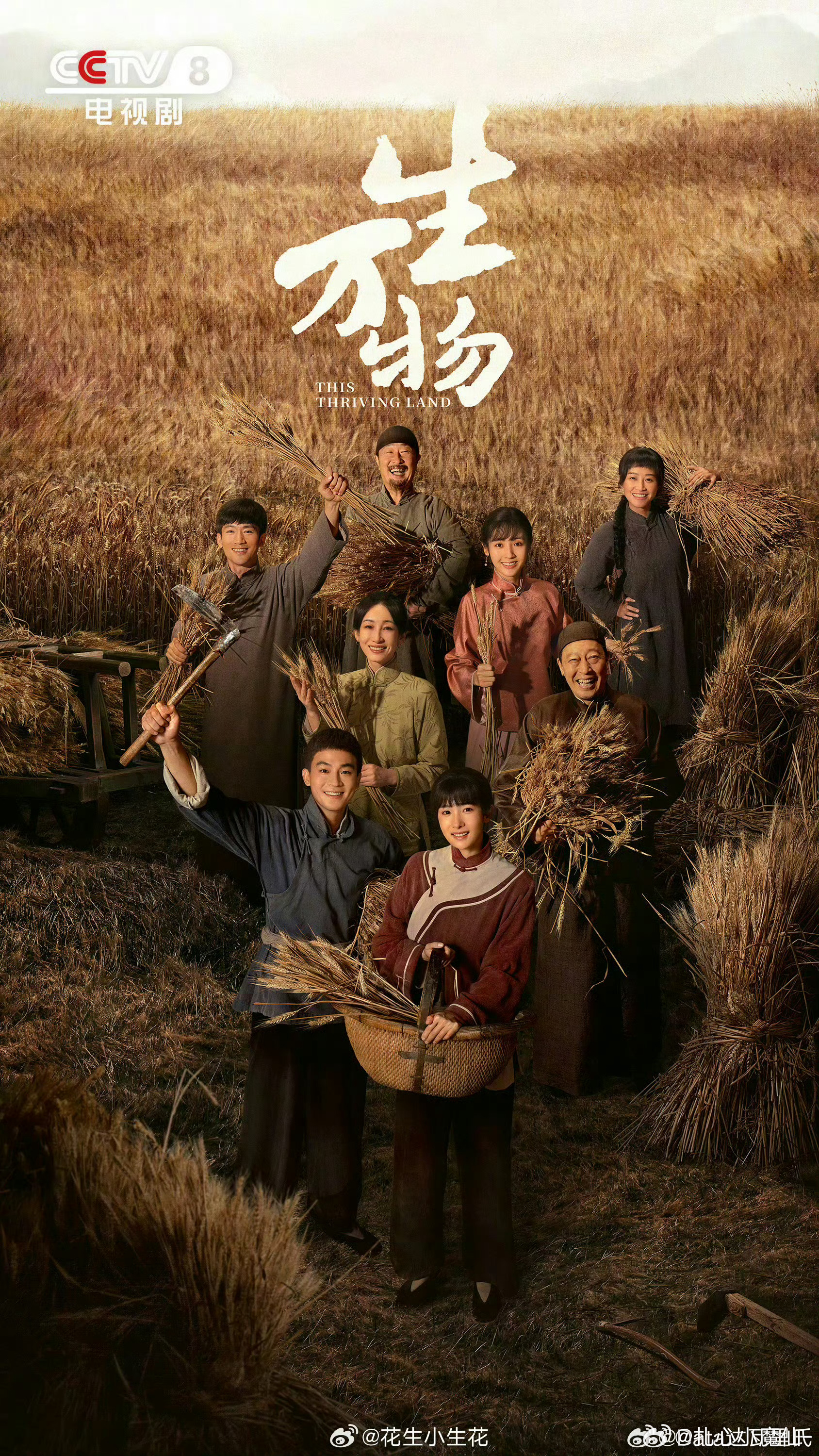 最佳编剧（改编）：王贺《生万物》最佳编剧（原创）：董哲《太平年》 白玉兰