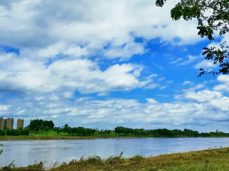 文章写得挺好，写出了周口的文化底蕴。去年金秋十月，老夫在周口待了两个月，浓厚的乡