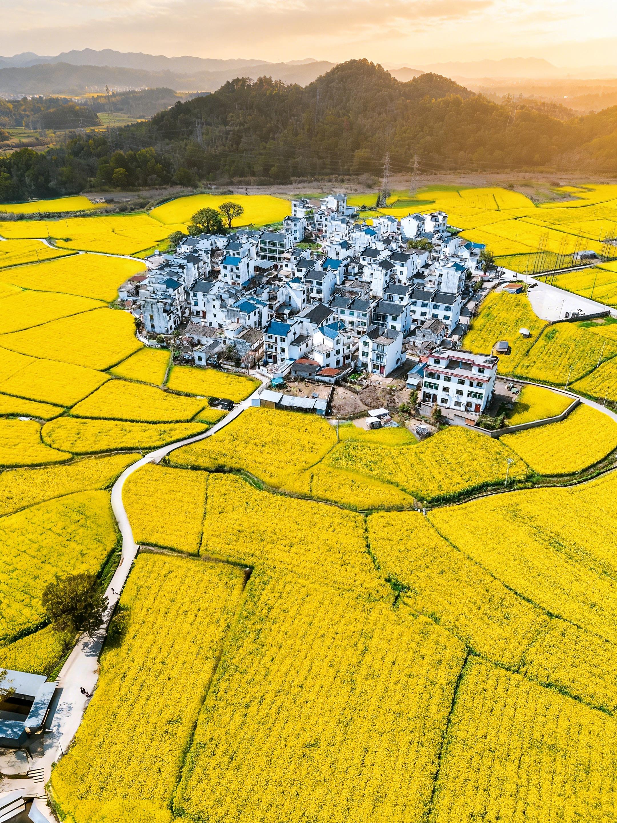 婺源新路线！112km无人花海免费玩。逛完篁岭与婺女洲的热闹，返程前...