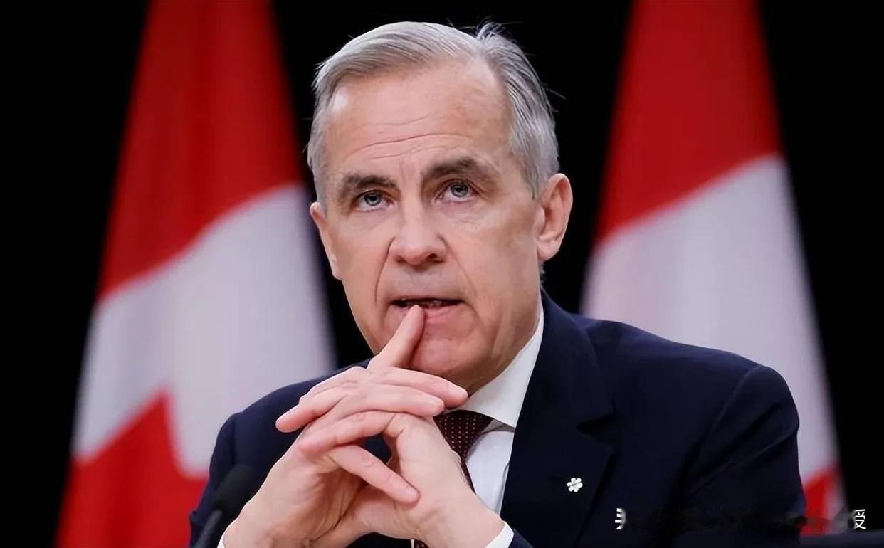 中方承诺对加免签！中国护照啥时候能对等“说走就走”？
 
中加关系破冰！加拿大总