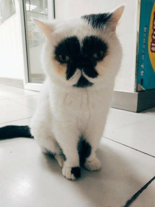 喏，看小爷迷离的大眼睛