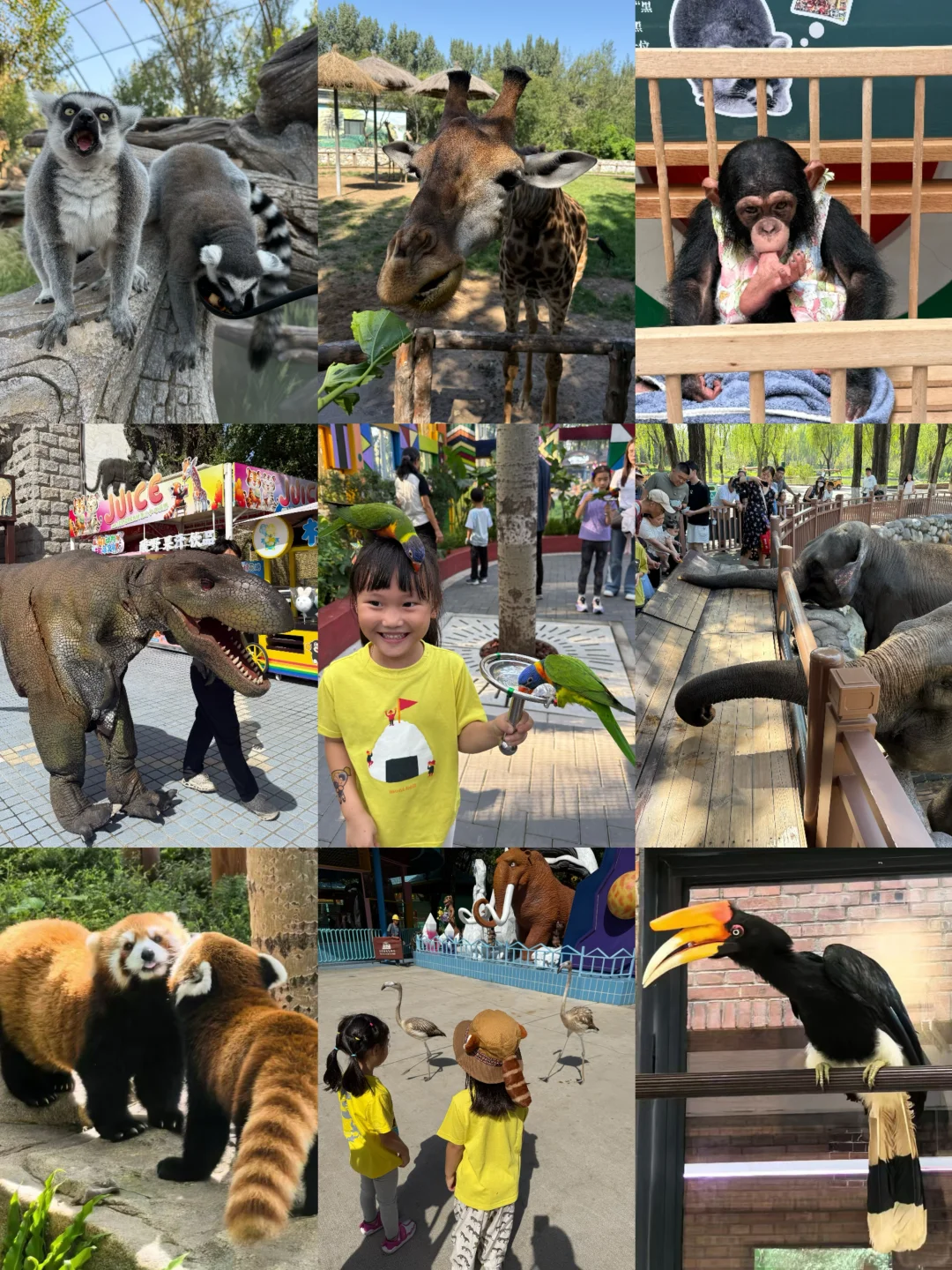 分享隐藏玩法 ｜ 10刷北京大兴野生动物园