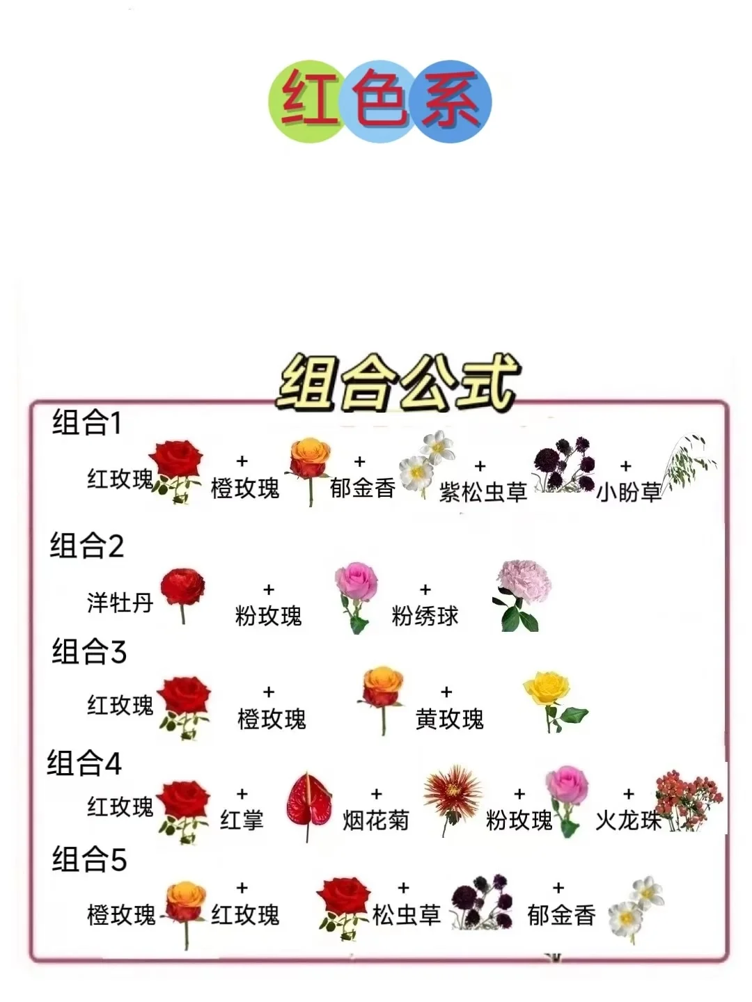 教师节送花搭配不踩雷攻略🌸