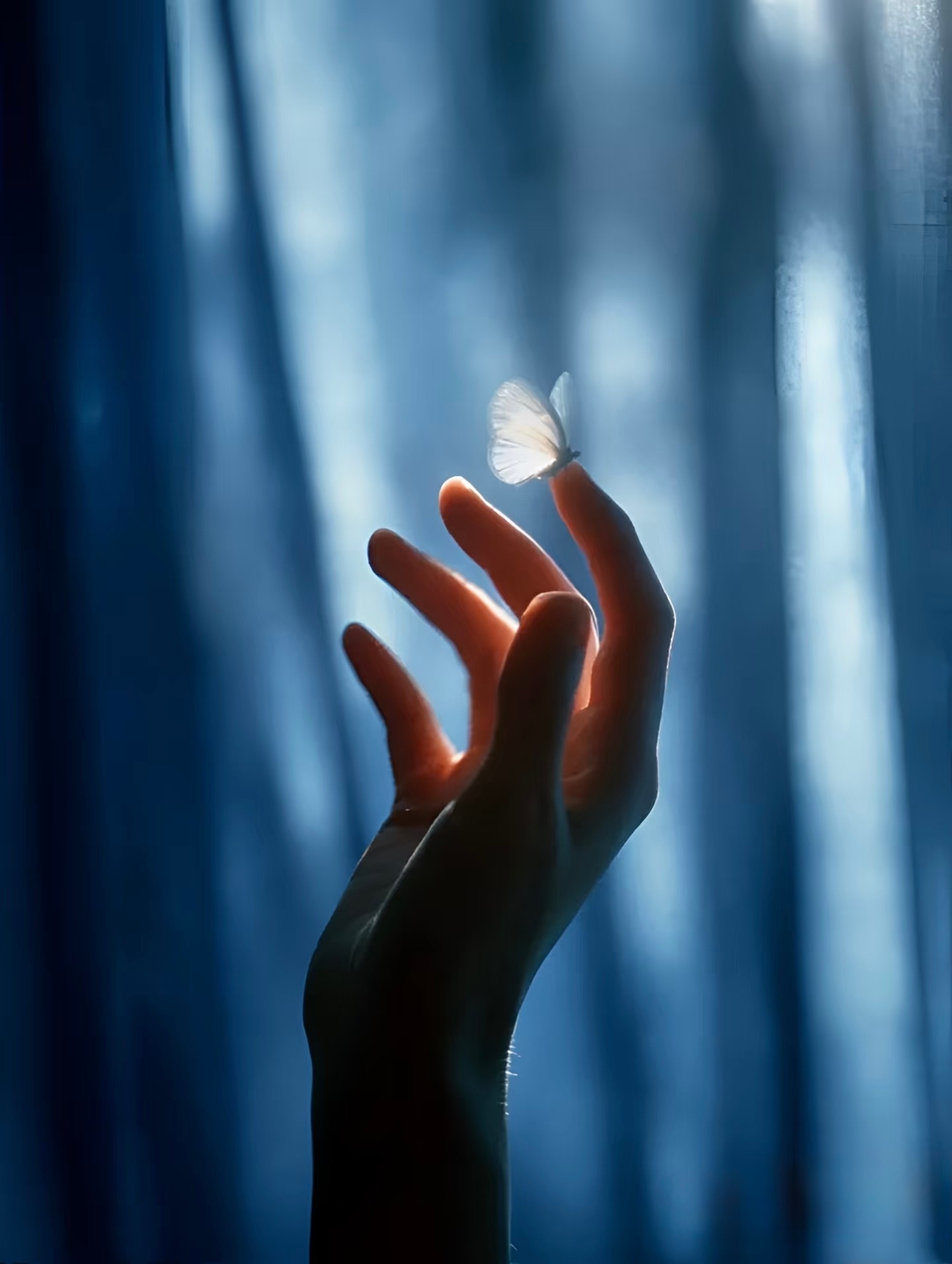 爱上一个人，可能跟形象、身份、年龄无关，是深夜互相看穿弱点，细节里不由自主的关心