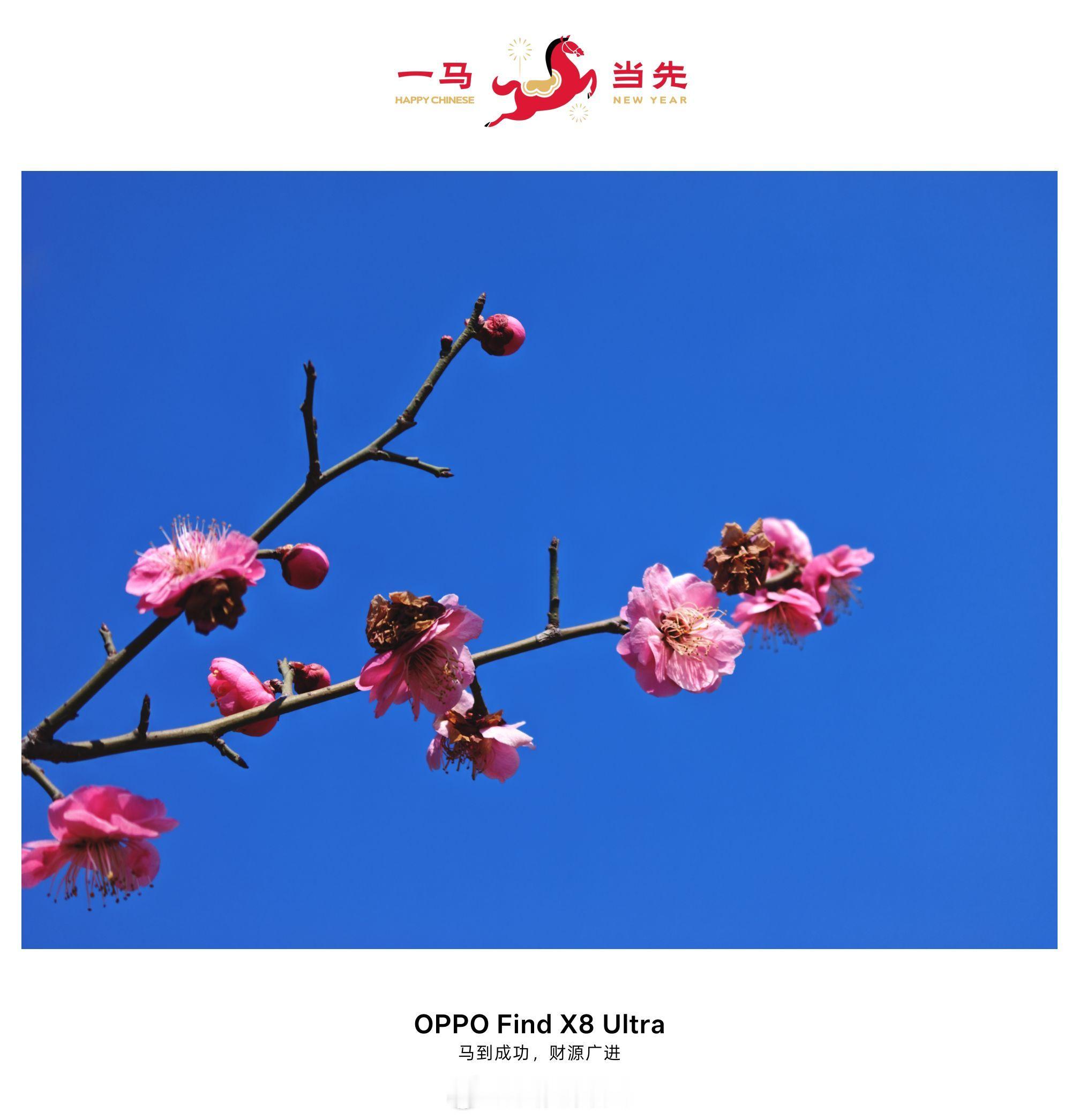 早☀️今天大年初三我们这里要上坟每日早起打卡