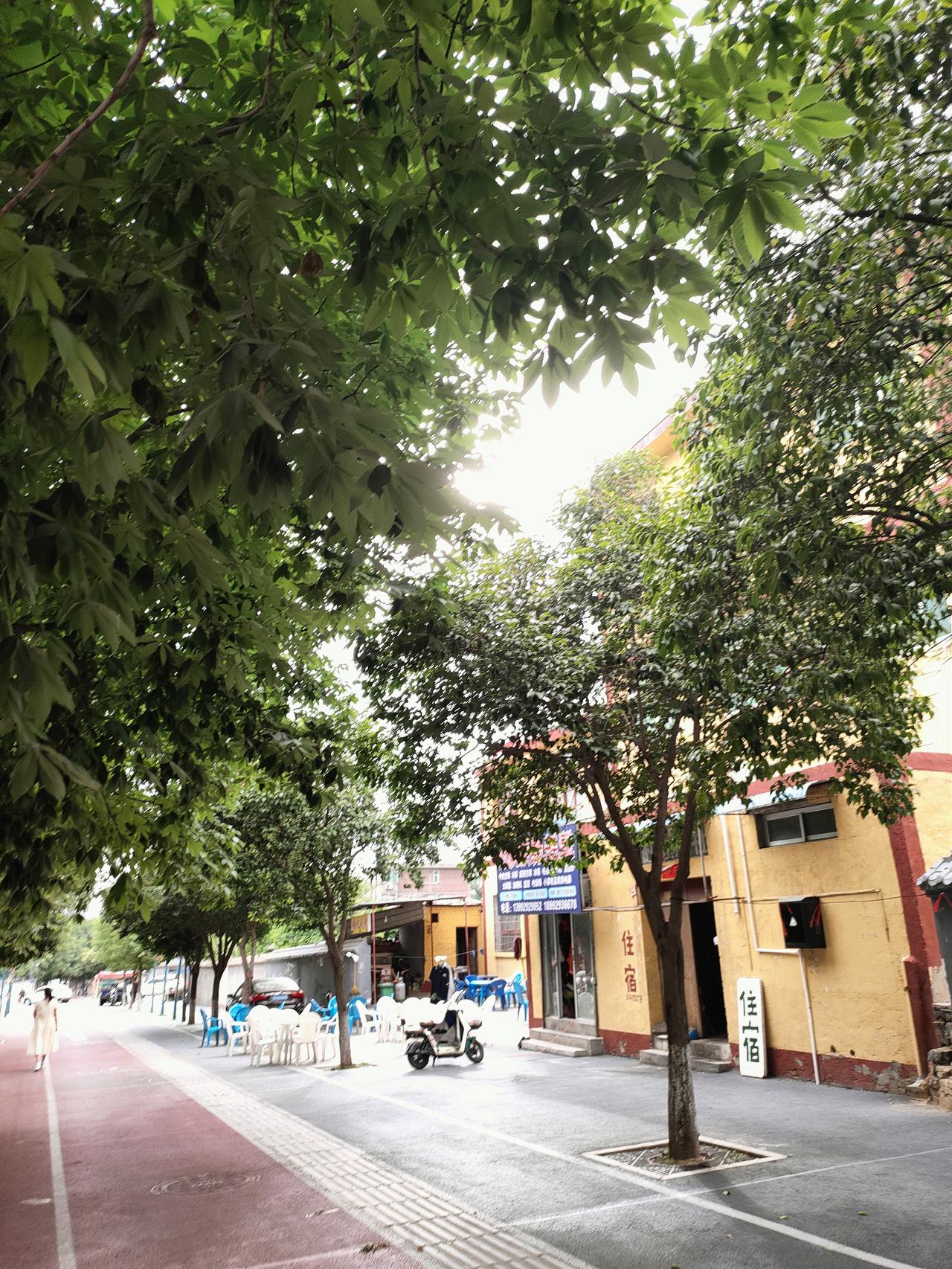 真心话茶局沿街绿树撑开成片阴凉，黄墙小店藏着人间烟火，公交车缓缓驶过平整马路。没
