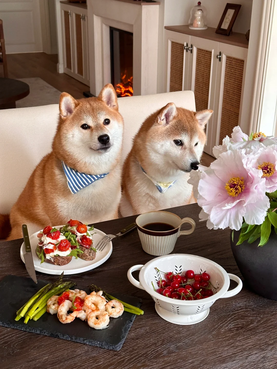 春日么么茶💐🌱