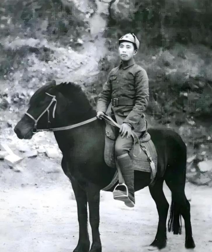 新中国成立后，中央有一条铁律：任何人进入毛主席住所，一律不准携带武器。然而，有一