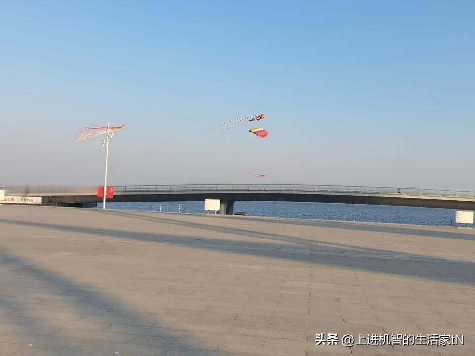 山东新泰，冬日的滨湖广场：碧蓝的湖水与动感的风筝相互辉映，湖水中的野鸭、凌寒傲霜