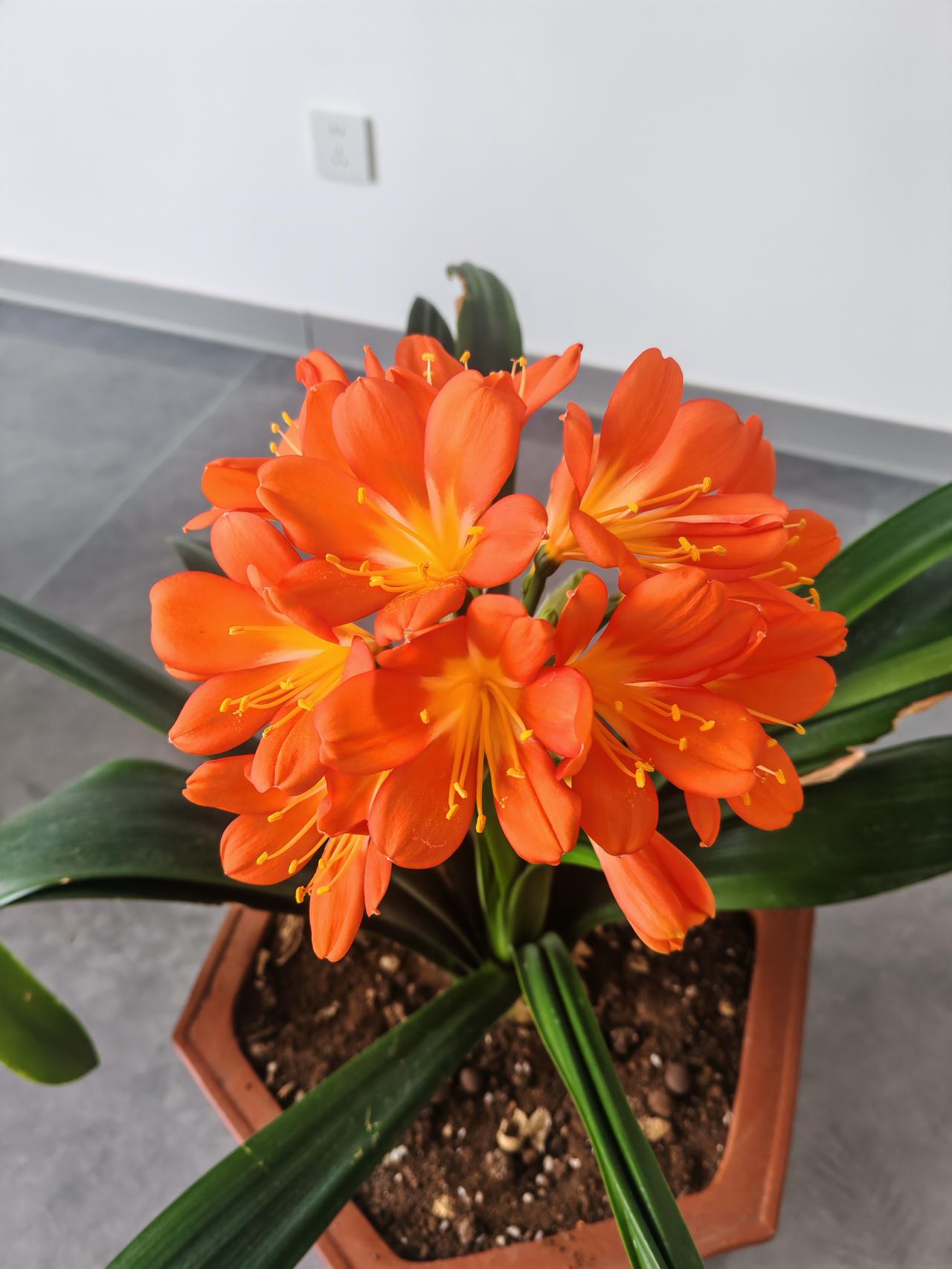 今日摘抄
人在顺风顺水时，应该有一颗谦卑且感恩的心。
人在逆境煎熬时，也要有一颗