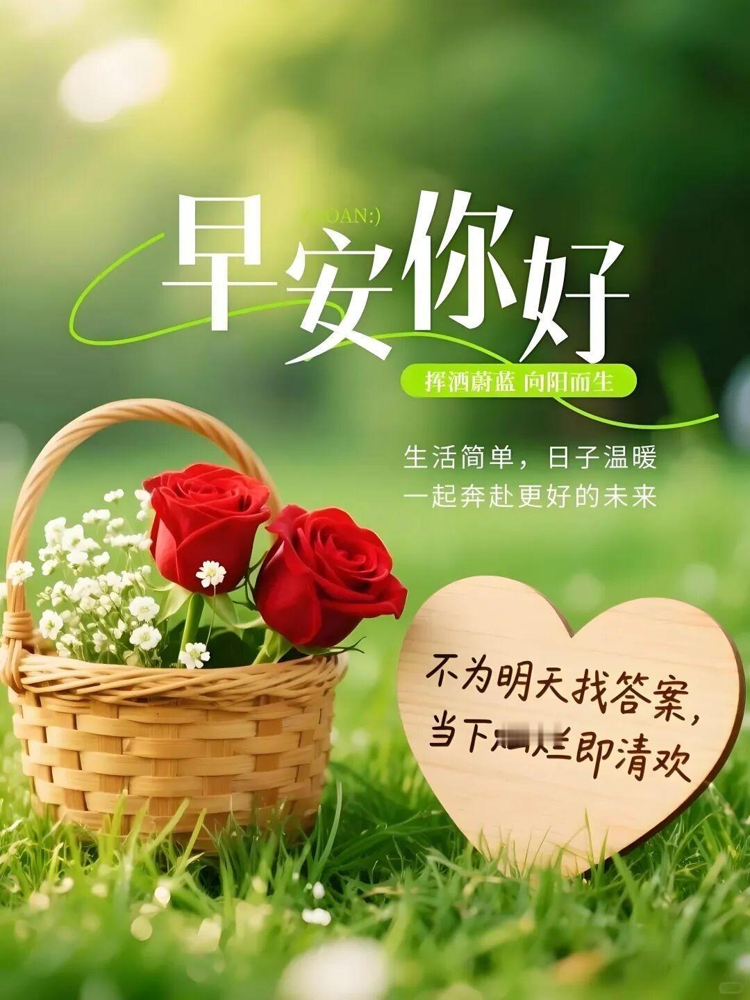 晨光里的青草香，篮中玫瑰热烈绽放。新的一天，愿你怀揣简单温暖，在向阳而生的路上，