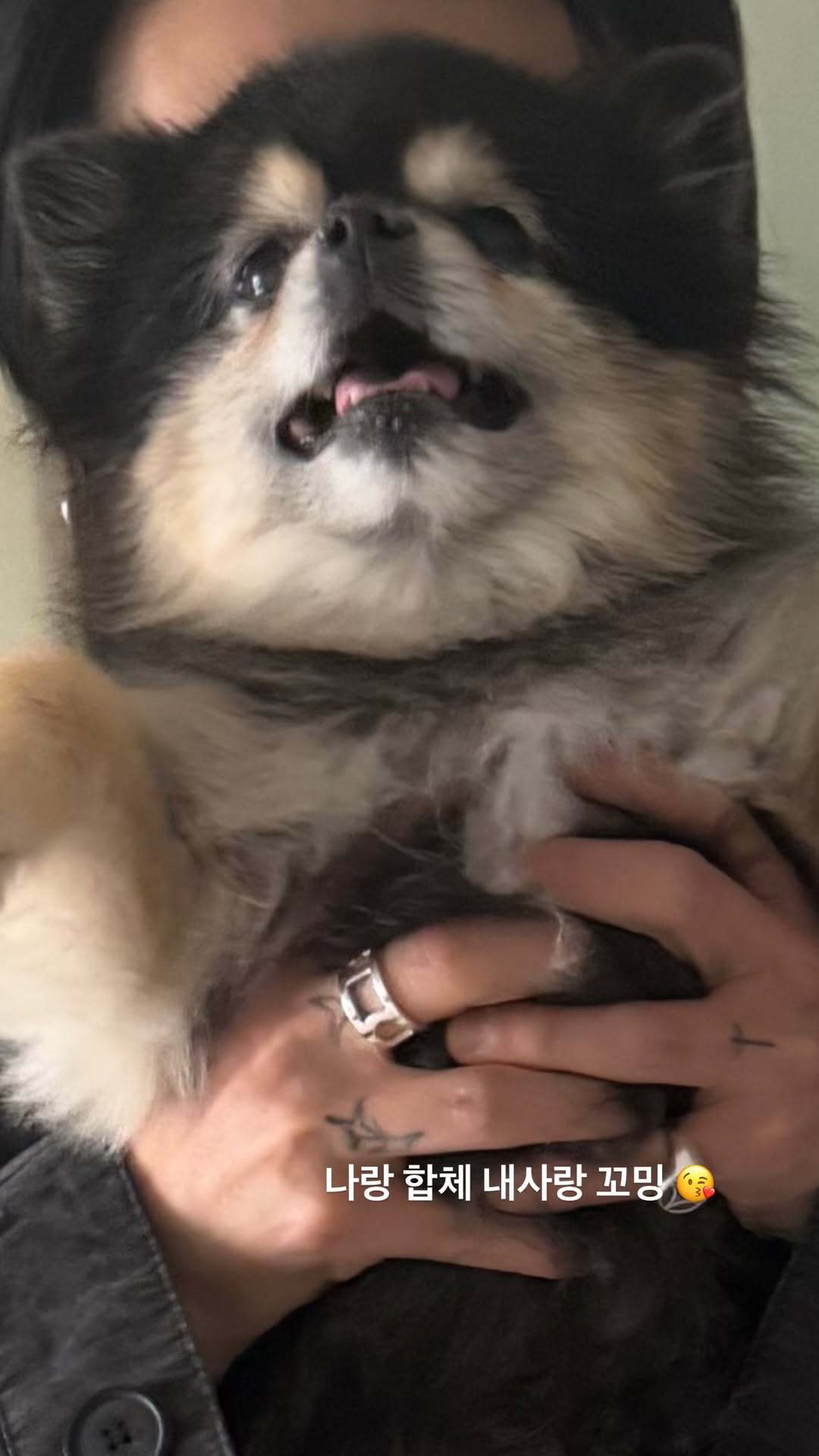 “CB百蓝_。260225金钟云 ins story更新：和我合体 我的爱小不点