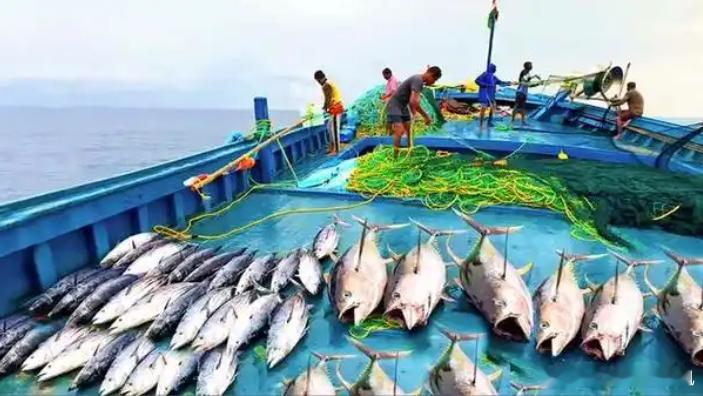 【财富晚茶-午间投资】重磅利空：立方跌停沪深大跌；科强股份：前期双顶超跌脉冲；沪