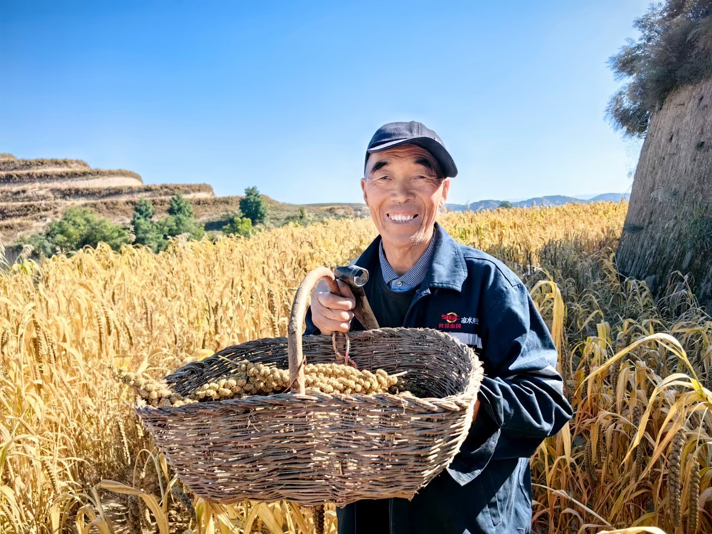 粮食和田园，人类最应关注和投之以情怀的地方。  ​​​