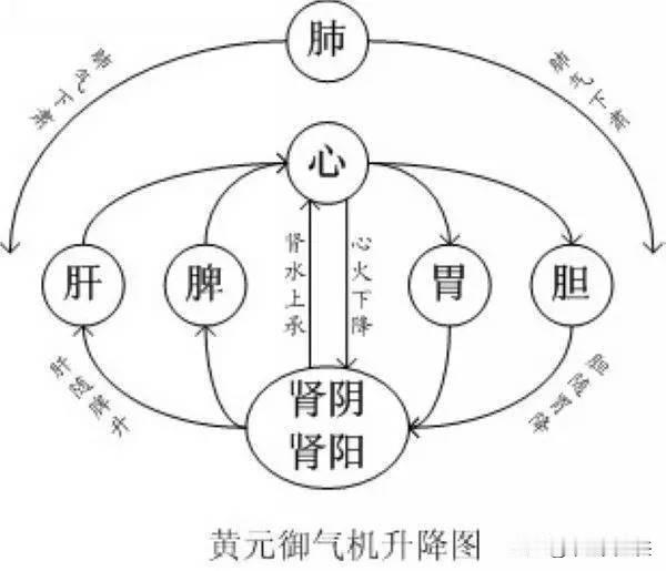 身体里的这3种气，一定要降，不降就会出问题
胃气不降——腹胀，胆气不降——嘴发苦