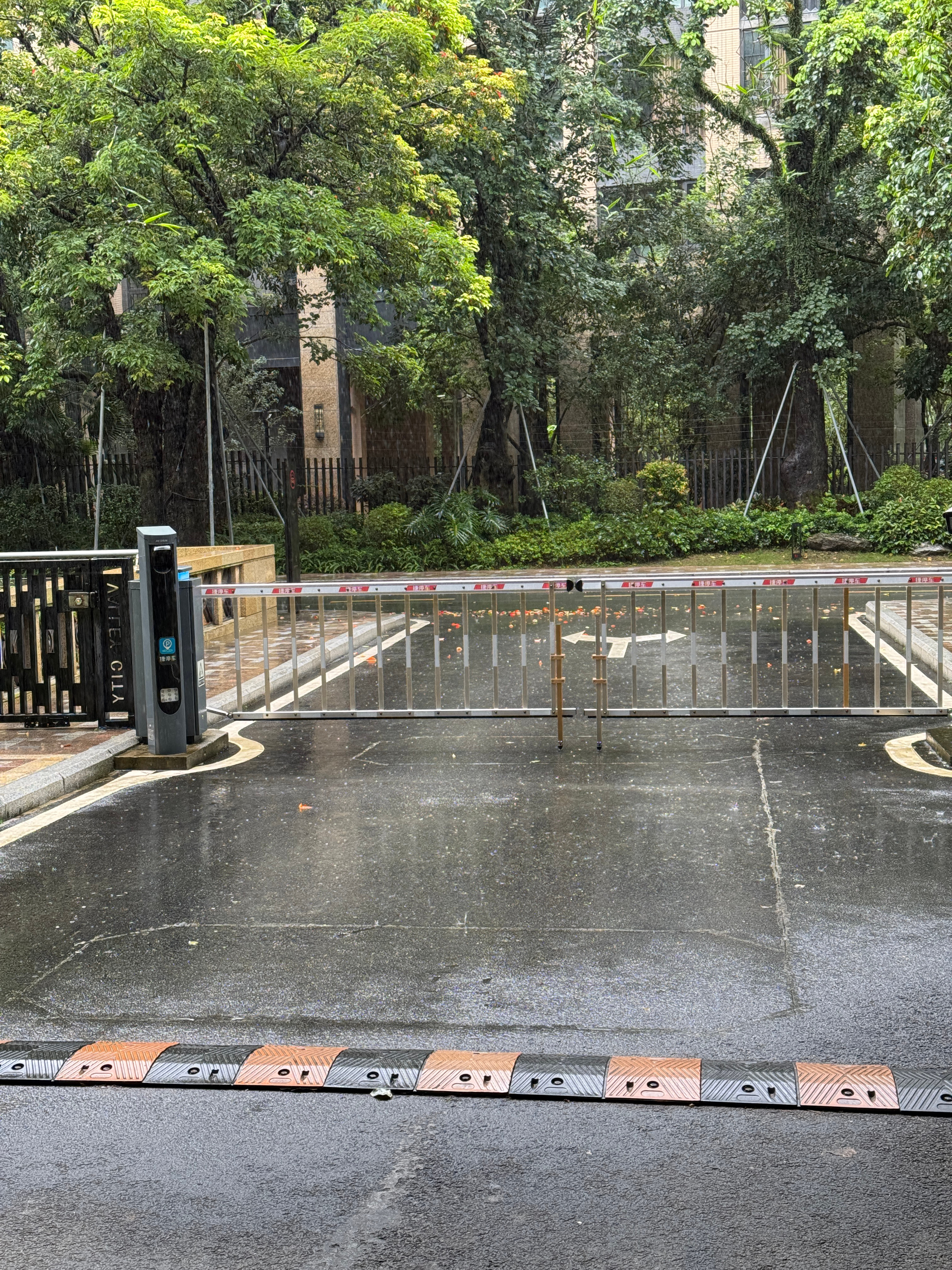讨厌下雨天...讨厌下雨天...不管是工作日还是周末妨碍出行的下雨天都很讨厌 