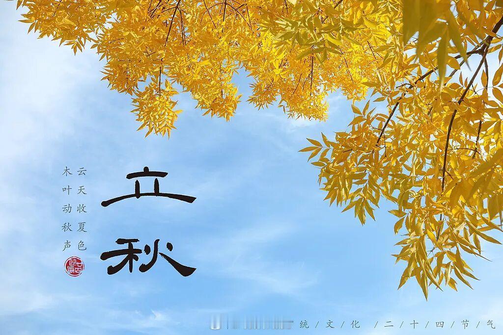 铁子们，早上好，早起的一起点个赞或许，新的故事，会在秋风中慢慢开始。夏去秋来，日