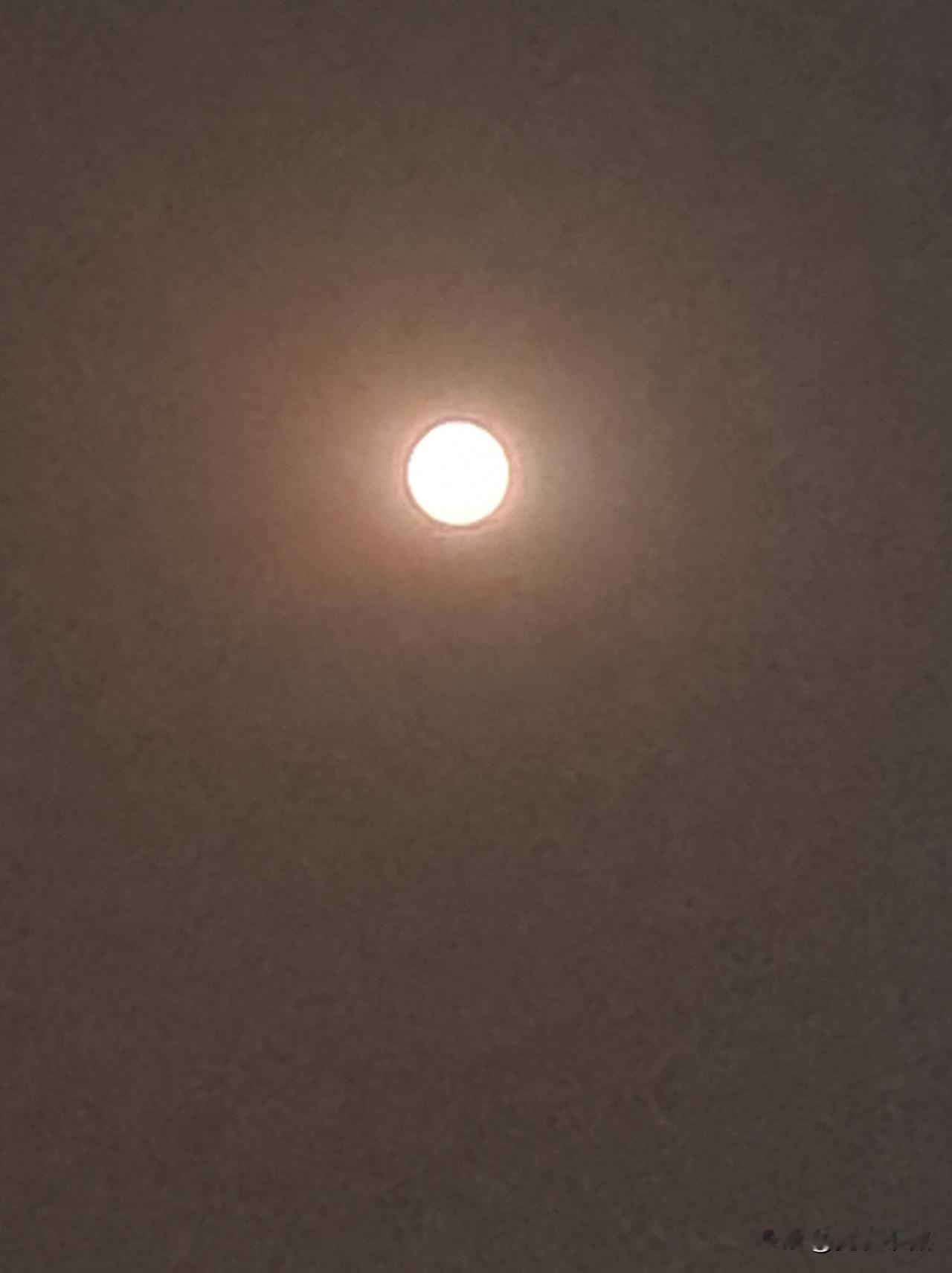 晒图笔记大赛今晚终于拍到了一个大圆月